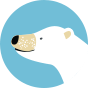 Živahne otroške nogavice Polarni medved