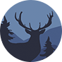 Slides Deer in Forest