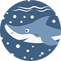 Sandales rigolotes pour enfants Requin gris