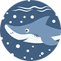 Gourde d’eau rigolote de 470 ml Requin gris