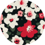 Serviette de cuisine rigolote Champ de fleurs