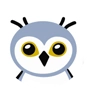 Chaussettes chaudes rigolotes Hibou des neiges