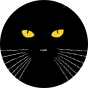 Culotte rigolote pour femmes Yeux de chat
