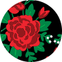 Wesołe kapcie Róże