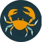 Sandales rigolotes Crabe de mer