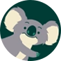 Veselé dětské punčošky Koala a listy