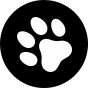Socquettes rigolotes pour baskets Pattes de chat