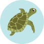 Caleçon rigolo pour hommes Tortues de mer