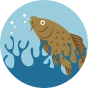 Chaussettes rigolotes Pêche