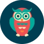 Chaussettes invisibles rigolotes Hibou sage