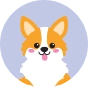 Socquettes rigolotes pour baskets Chien Corgi