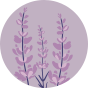 Lustige Bambussocken Lavendel
