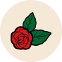 Wesołe skarpetki nylonowe Czerwone róże