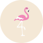 Șosete vesele din nailon Inimi și Păsări flamingo