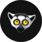 Veselá antibakteriální rouška Lemur - větší