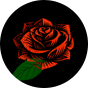 Veselé legíny s vysokým pásom Ruže