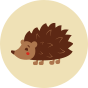 Veselé detské pančušky Lesný ježko