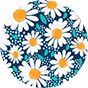 Flip Flops with Decoration Charm Daisy Blossom