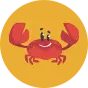 Veselé dětské pantofle Veselý krab