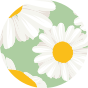 Scrunchie 3-Pack Daisy Blossom
