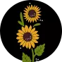 Mi-bas rigolos Tournesols la nuit