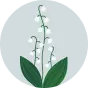 Mi-bas rigolos Muguet de la vallée