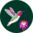 Wesołe damskie figi bezszwowe Koliber i kwiaty