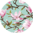 Culotte rigolote sans coutures pour femmes Fleurs de Magnolia