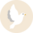 Wesołe skarpetki nylonowe Białe gołębie