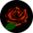 Veselé legíny s vysokým pásom Ruže