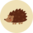 Veselé detské pančušky Lesný ježko