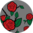 Vesele najlonske hulahopke Crvene ruže