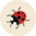 Women's Briefs Ladybugs & Dots