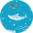 Wesołe chłopięce spodenki kąpielowe Biały rekin