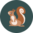 Lustige Kniestrümpfe Eichhörnchen
