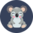 Vesela dječja pidžama Sretna koala