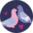 Chaussettes rigolotes en coton recyclé Pigeons amoureux