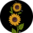 Lustige Kniestrümpfe Sonnenblumen bei Nacht