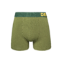 Bosgroene herentrunks