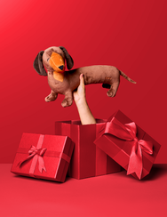 Плюшена играчка Дълъг дакел на Dedoles