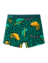 Весели боксерки за момчета Хамелеон на лов