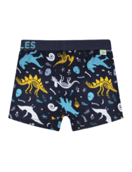Boys' Boxers Dinosaurs