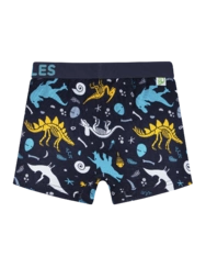 Veselé chlapecké boxerky Dinosauři