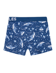 Boys' Boxers Grey Shark