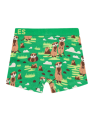 Vidám fiú bokszeralsó Szurikáták