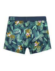 Veselé chlapecké boxerky Tygr