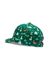 Veselá detská šiltovka Dino na skateboarde