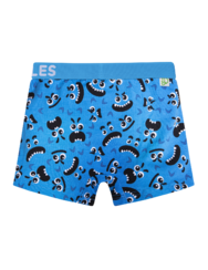 Boys' Boxers Monster