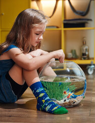 Kids' Socks Aquarium Fish