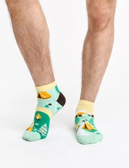 Veselé členkové ponožky Horský kemp